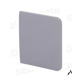 Tasto per Lightswitch grey SoloButton (2-gang) [55] ASP