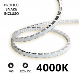 Striscia LED Snake  5m IP65 220V 4000K