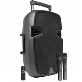 BOX AUDIO ATTIVO 12" 500W A BATTERIA BT A BATTERIA CON BLUETOOTH/USB/SD, MP3, ECHO, EQUALIZZATORE E TROLLEY