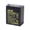 BATTERIA AL PIOMBO SKB 12V/2,9A FAST. 4,8  80 x 56 x 99 - 104 mm