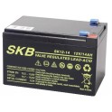 BATTERIA AL PIOMBO SKB 12V/14 FAST.6,3